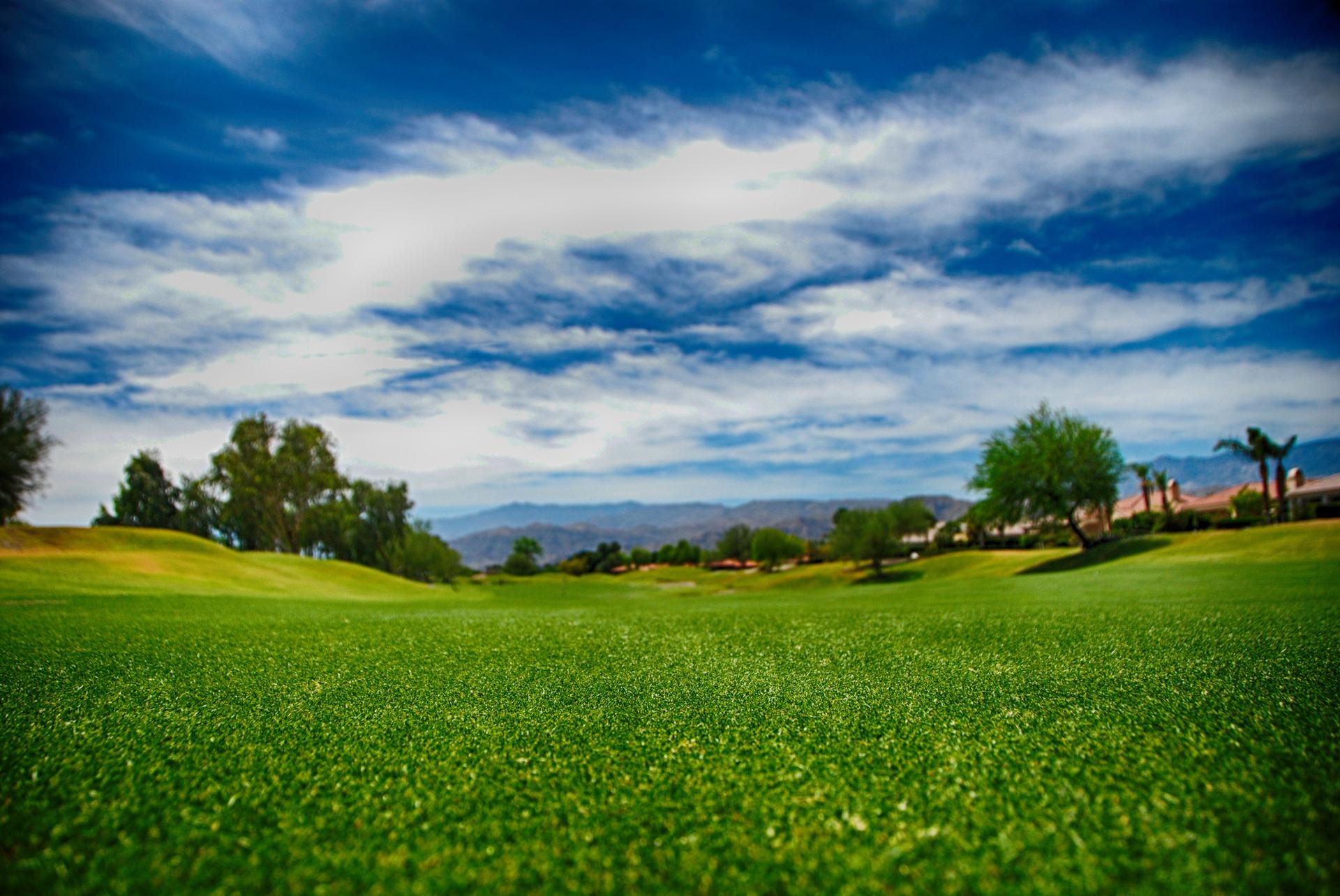 Green grass of a golf course